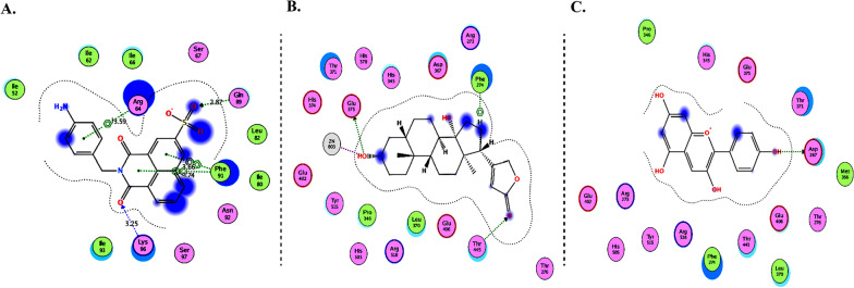 Fig. 10