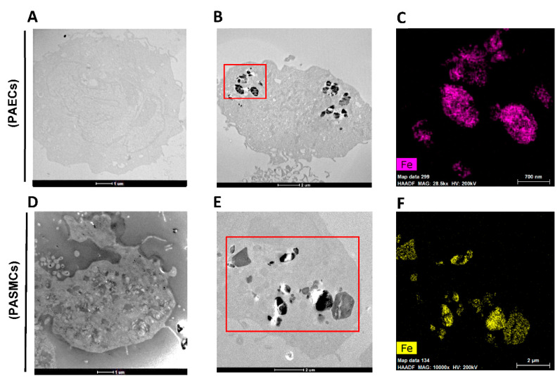 Figure 9