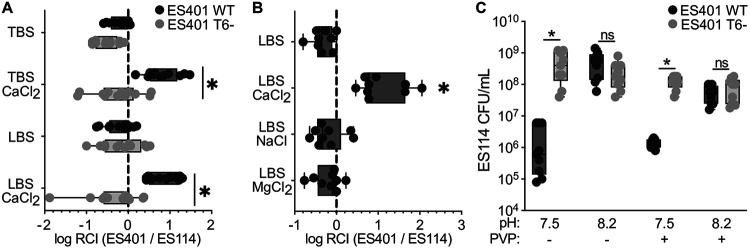 FIG 1