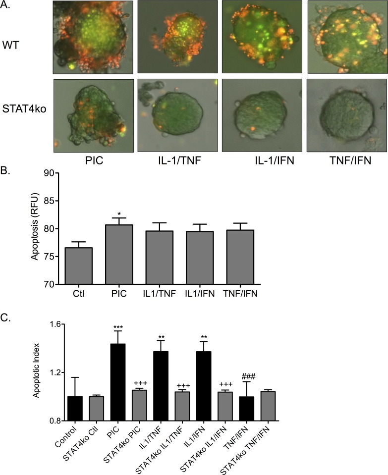 Fig 9