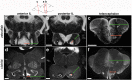 Fig. 9