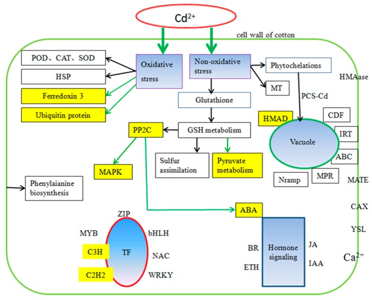 Figure 14