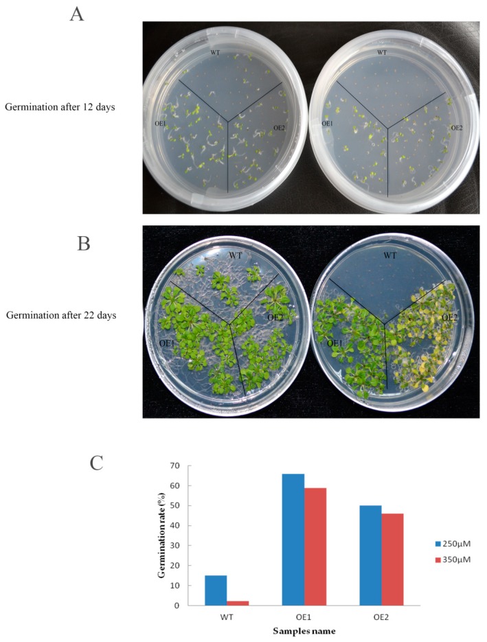 Figure 10