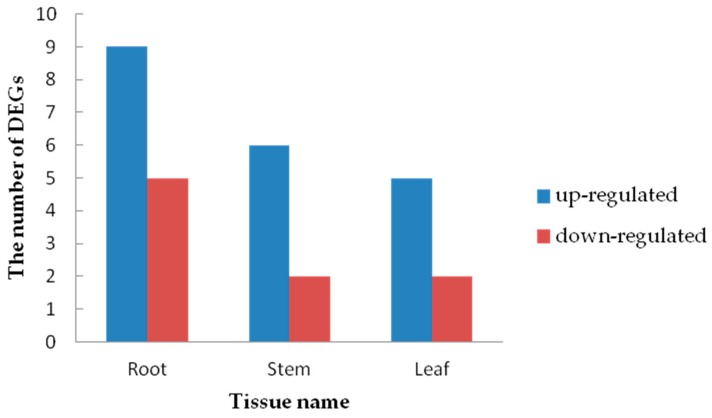 Figure 12