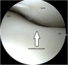 Fig 8