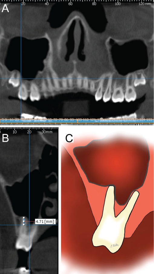 Figure 2.