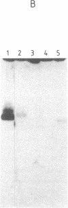 1924