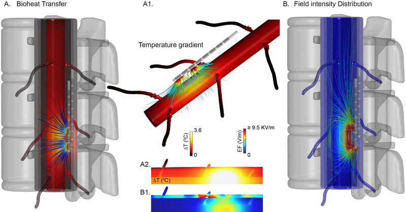 Fig 3: