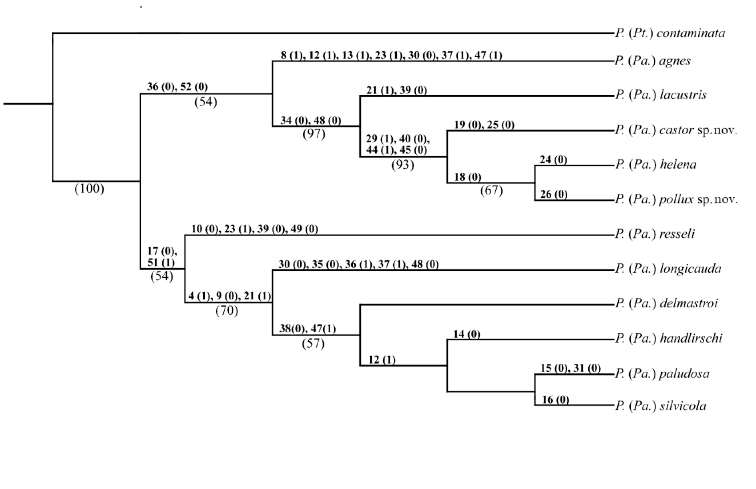 Figure 7.