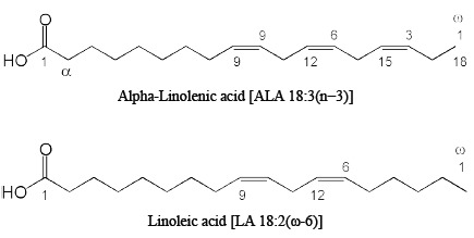 Fig. (1)