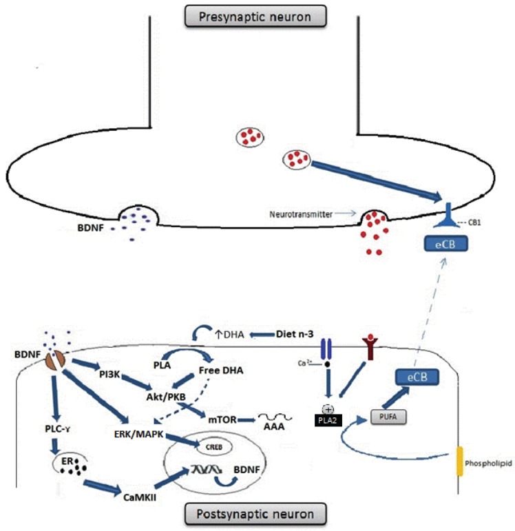 Fig. (3)