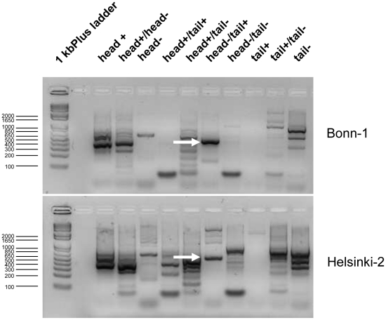 Figure 4