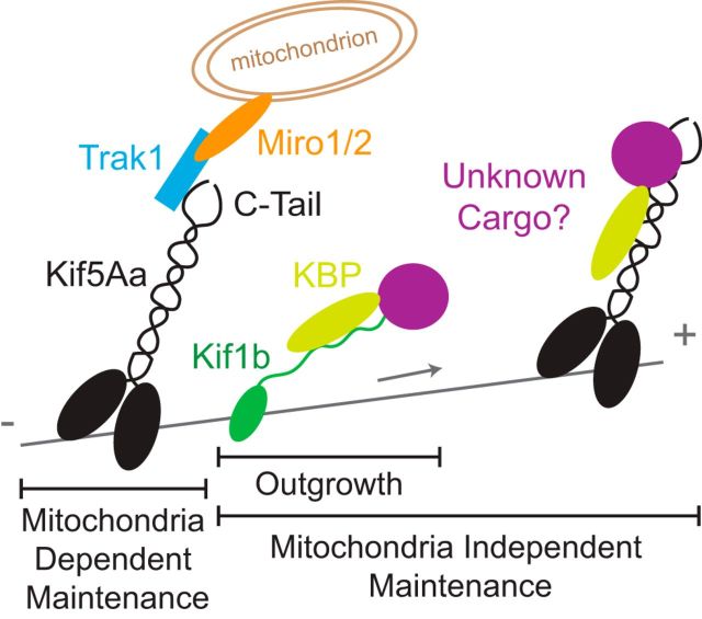 Figure 10.