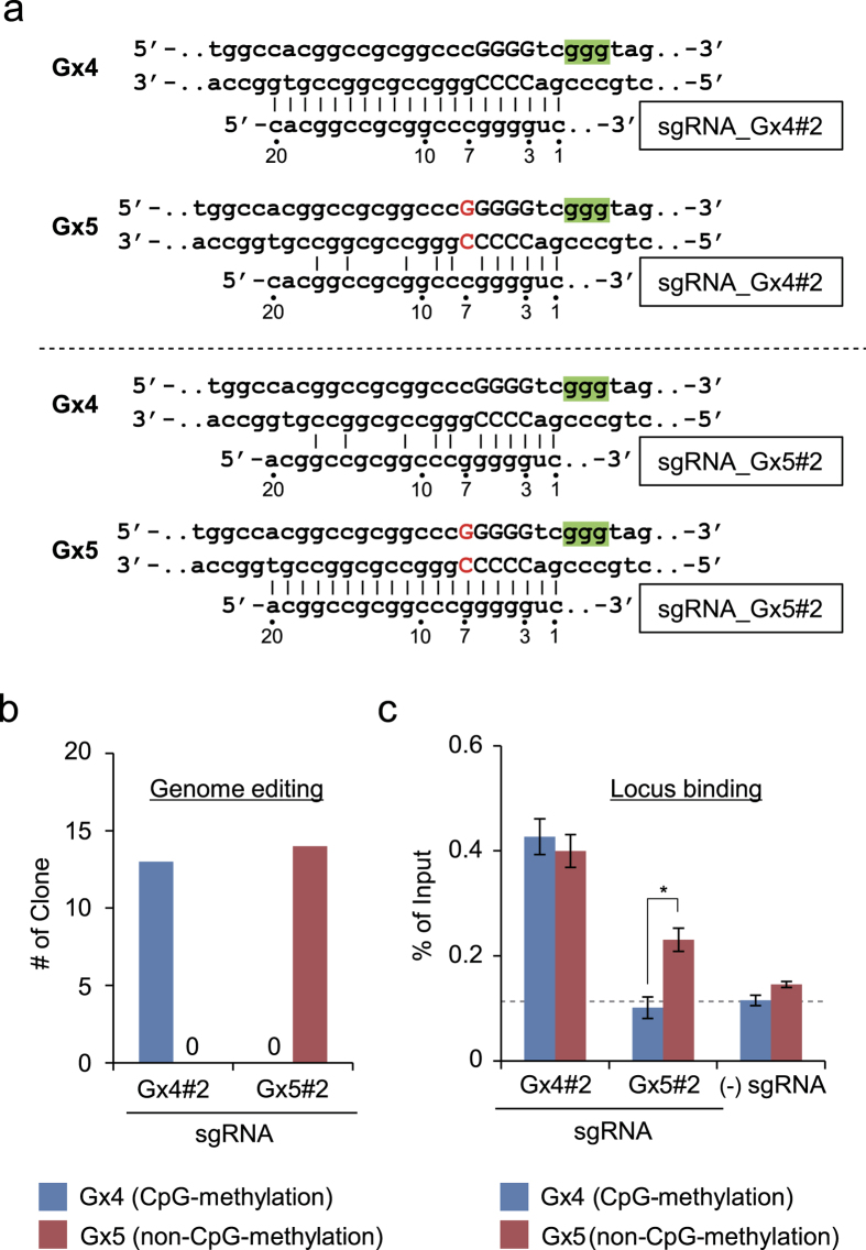 Figure 5