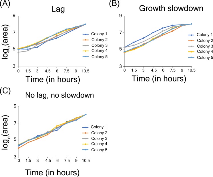 Figure 5—figure supplement 4.