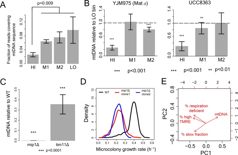 Figure 4—figure supplement 1.