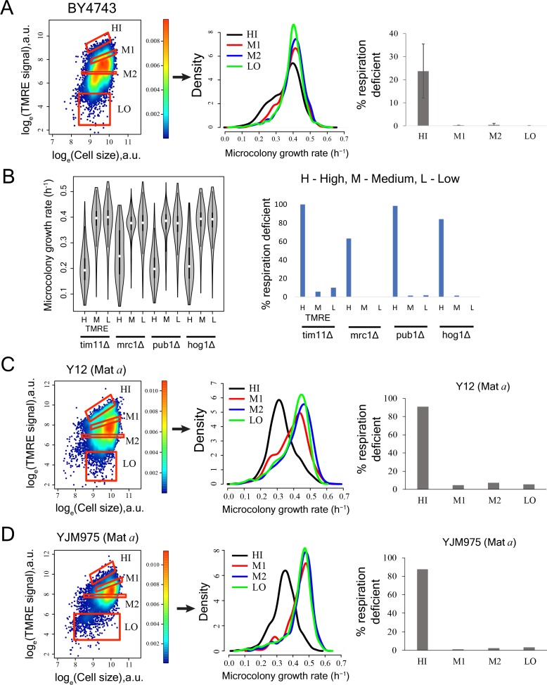 Figure 3—figure supplement 1.