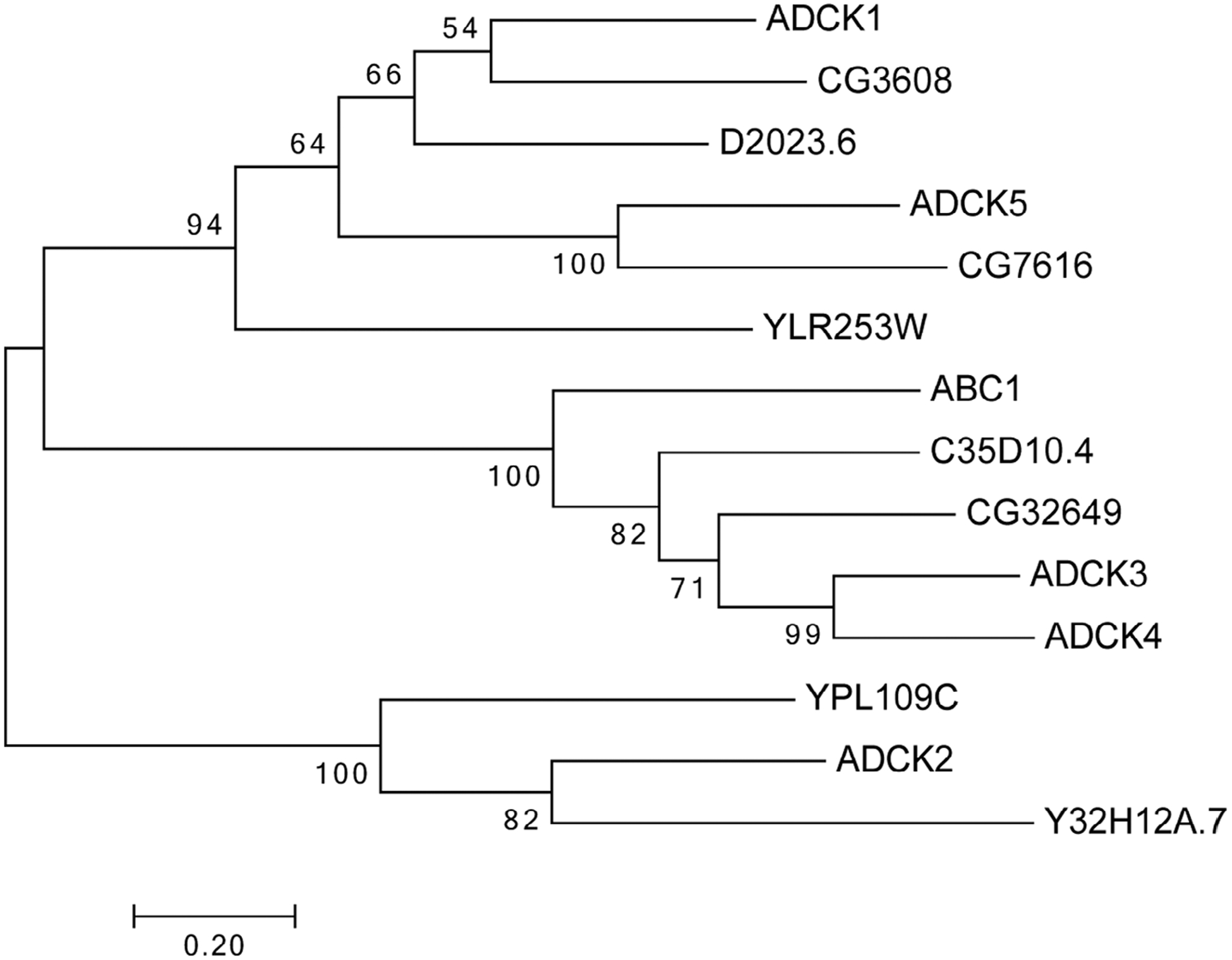 FIGURE 1