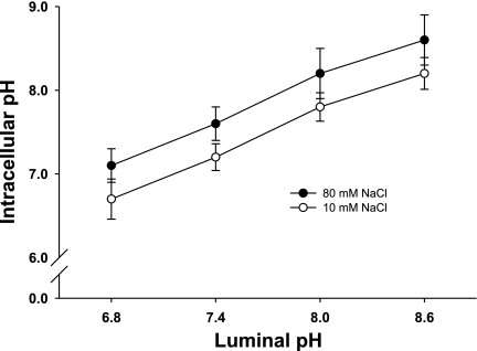 Fig. 5.