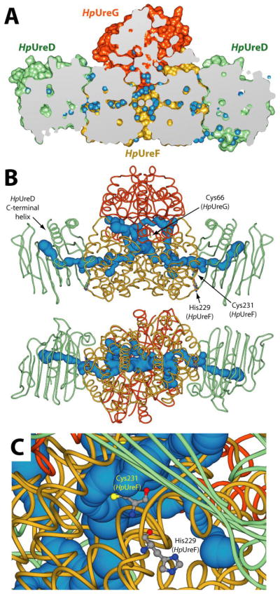 Figure 7