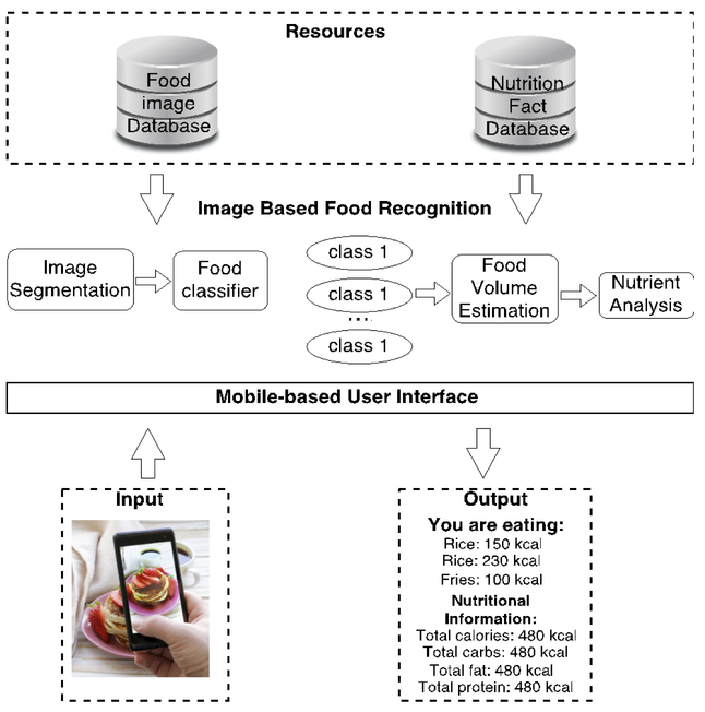 Figure 1: