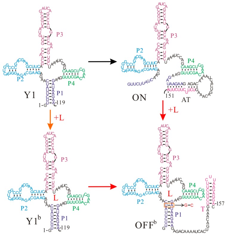 Figure 4