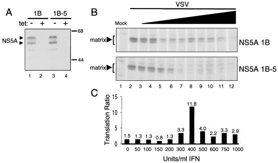 FIG. 3