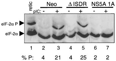 FIG. 6