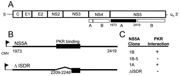 FIG. 1