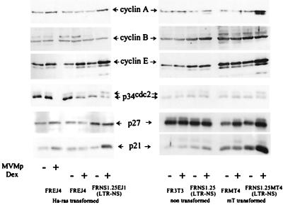 FIG. 5