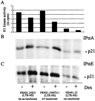 FIG. 7