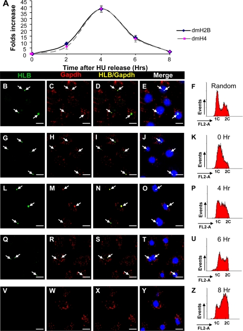 FIGURE 10.