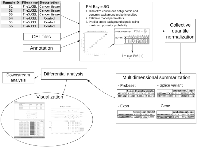 Figure 1.