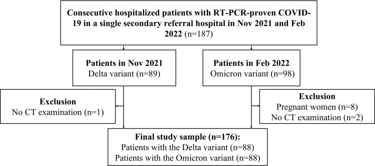 Flowchart of patient inclusion. RT-PCR = real-time reverse-transcription polymerase chain reaction.