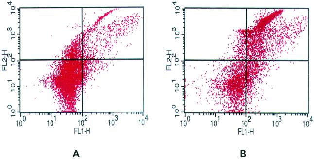 FIG. 2.