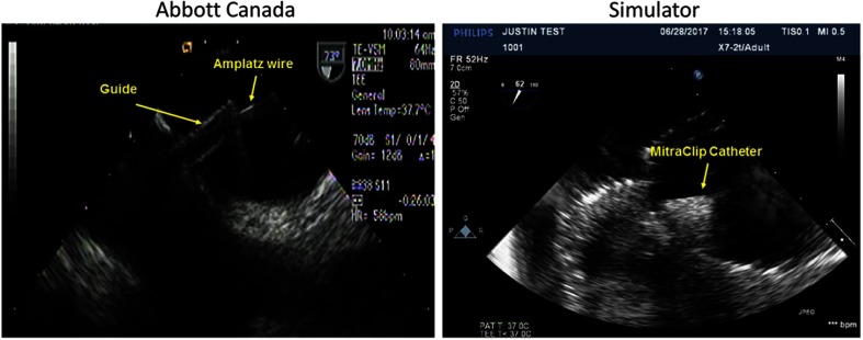 Fig. 8