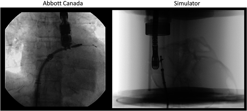 Fig. 10