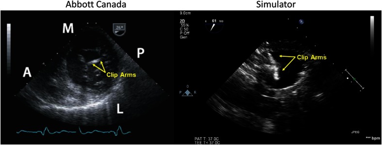 Fig. 9