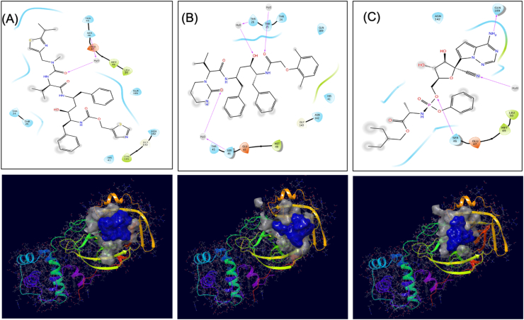Figure 2
