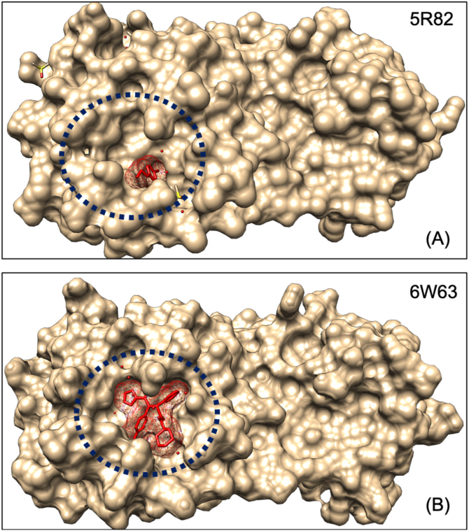 Figure 1