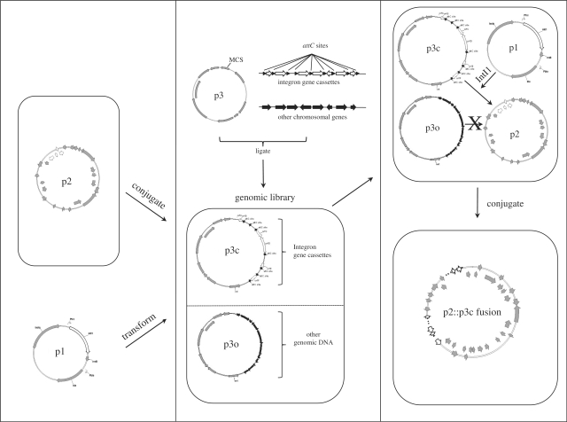 Figure 1.