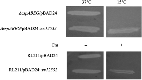 Figure 6.