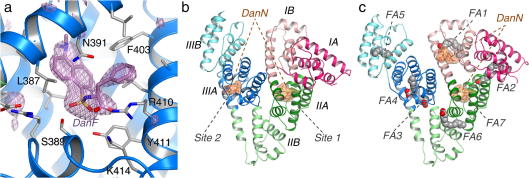 Fig.1