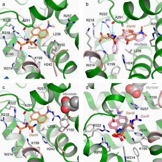 Fig.2