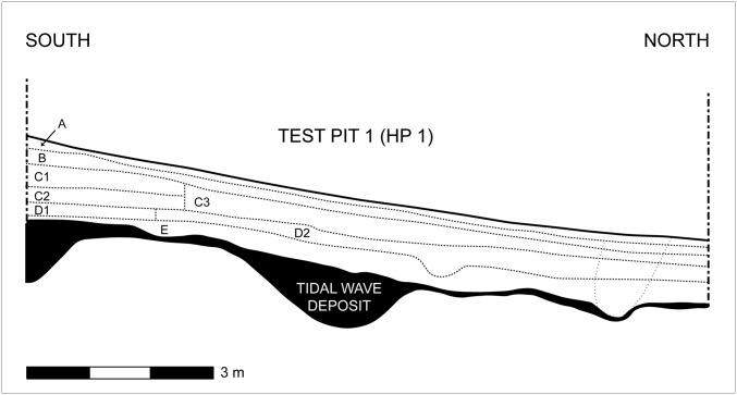 Fig. 5.