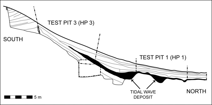 Fig. 4.