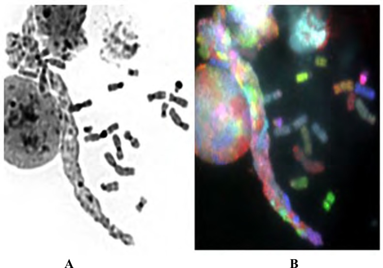 Fig. (3)