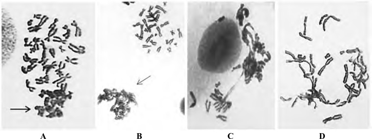 Fig. (2)