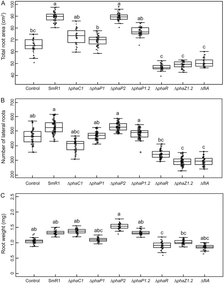 FIG 1