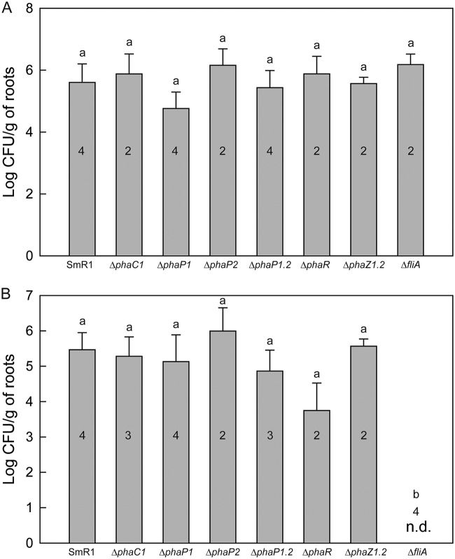 FIG 4